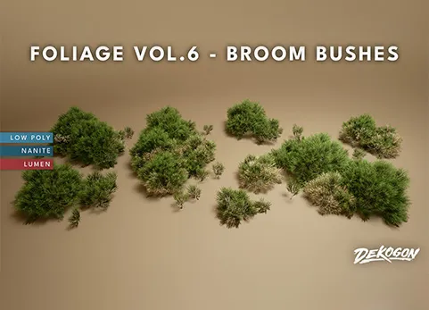扫帚灌木丛植物包 - Foliage VOL.6 - Broom Bushes (Nanite and Low Poly)