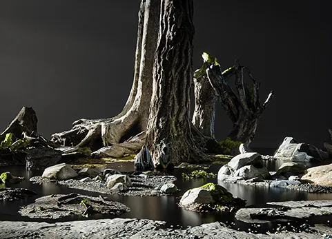 扫描石块树木资产包 - Photoscans Asset Pack