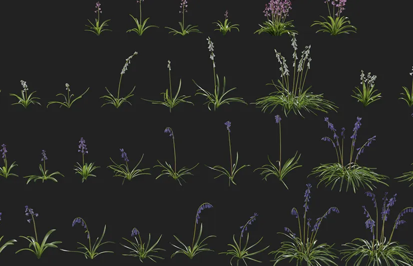 风铃草包第05卷 低多边形3D模型 Bluebell Pack vol05 Low-poly 3D model