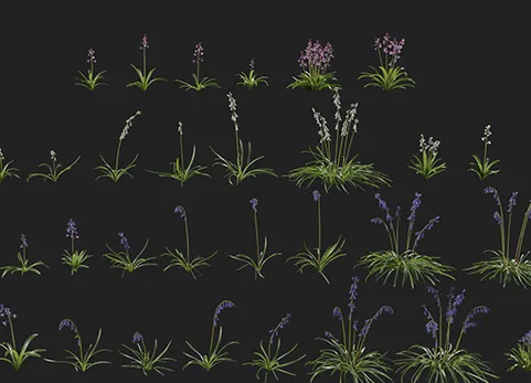 风铃草包第05卷 低多边形3D模型 Bluebell Pack vol05 Low-poly 3D model