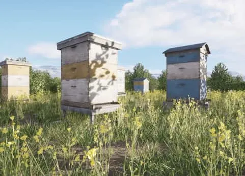 蜂巢蜂箱UE5环境养殖地建筑自然景观 Beehives Modular Pack