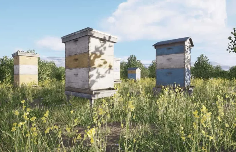 蜂巢蜂箱UE5环境养殖地建筑自然景观 Beehives Modular Pack