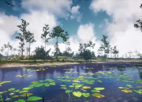 植物 35 AR VR Southeastern US Plants and Ecosystems