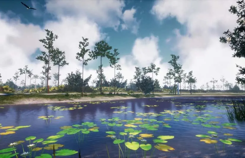 植物 35 AR VR Southeastern US Plants and Ecosystems