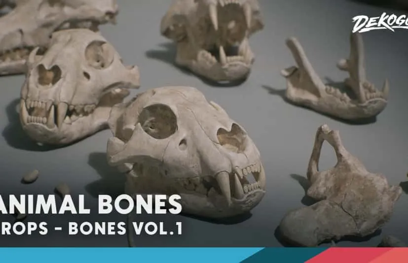 《骨骼 第一卷 - 动物骨骼》Bones VOL.1 - Animal Bones 1 (Nanite + Low Poly)