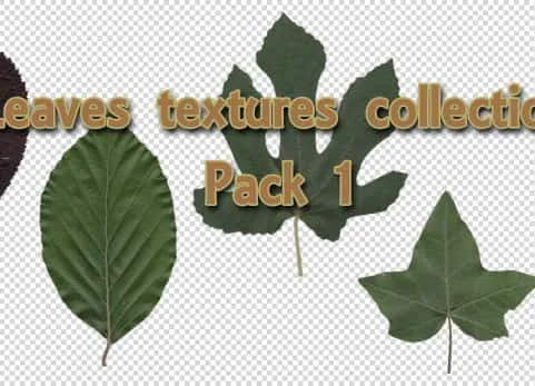 树叶纹理合集包1 Leaves Textures Collection Pack 1