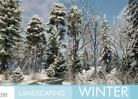 冬季景观美化场景 Landscaping Winter 1