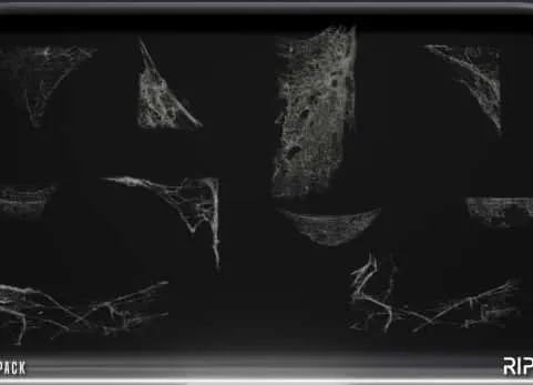 蛛网虫蛹蚕茧物件素材场景模型道具 Cobwebs Spider Webs Pack