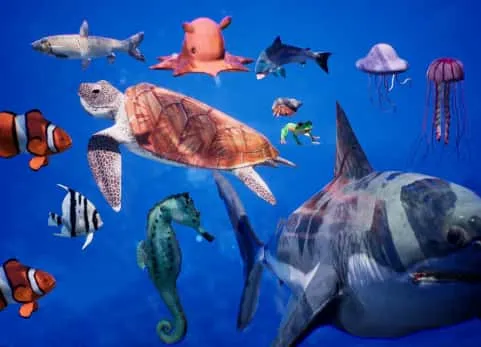 海洋动物鲨鱼海马海龟水母 Sea Animals 12 Meshes