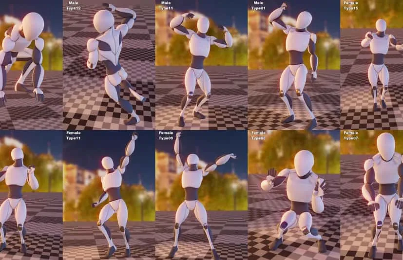 高质量动作捕捉动画-DJ Animations