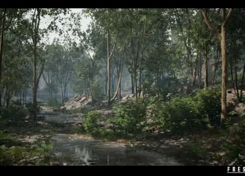 森林环境（生长着松树和热带树木的河畔森林）- Forest Environment