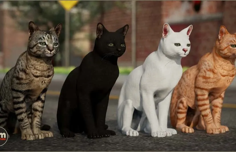 毛发家猫带动画母猫 - Animalia - Domestic Cat
