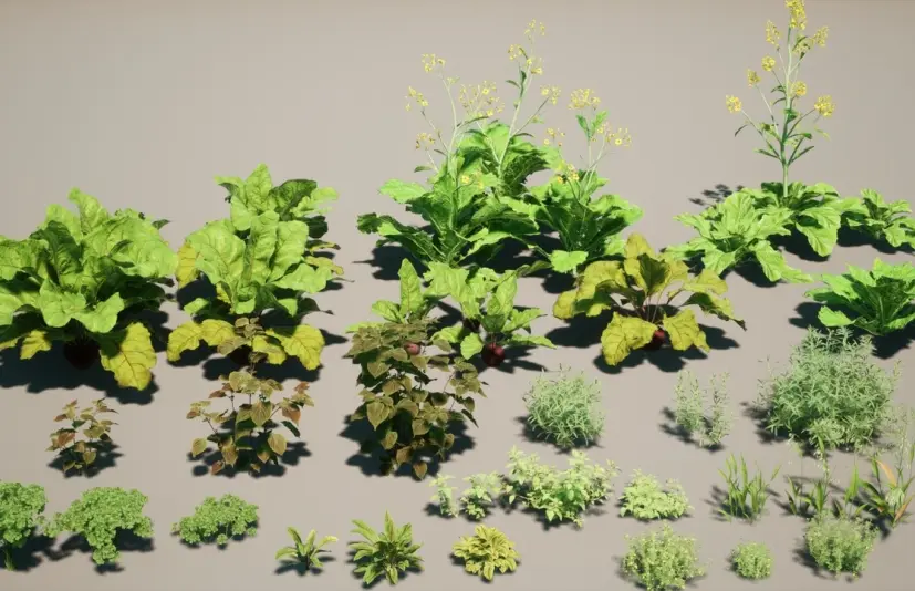 种植蔬菜 plant vegetables V2