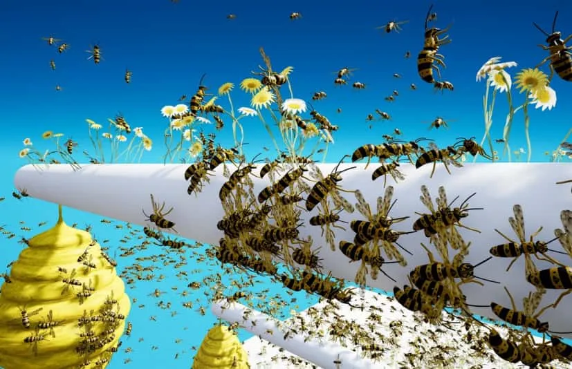 虚幻5.6 Advanced Fly Insects System 高级飞虫蜂群插件