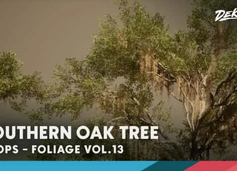 UE5植物橡树模型 Foliage VOL.13 - Southern Oak Trees