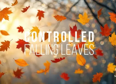 UE5落叶工具 - Falling Leaves Tool Controlled leaves for your Unreal engine 5 project