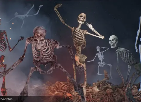 逼真的骨骼骷髅模型 Realistic Base Skeleton