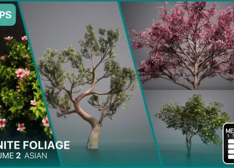 Nanite中式园林植物梅花松柏树灌木 Nanite Foliage Vol2 Asian