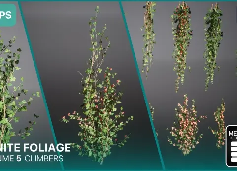 Nanite爬山虎藤蔓墙面植物模型 Nanite Foliage Vol5 Climbers