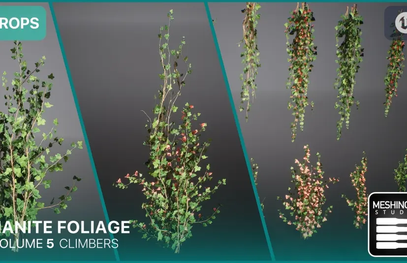 Nanite爬山虎藤蔓墙面植物模型 Nanite Foliage Vol5 Climbers