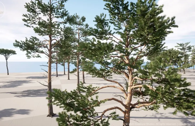 针叶树（松树、柏树和冷杉）DZ Trees - Conifers (Pines, Cypresses and Firs)