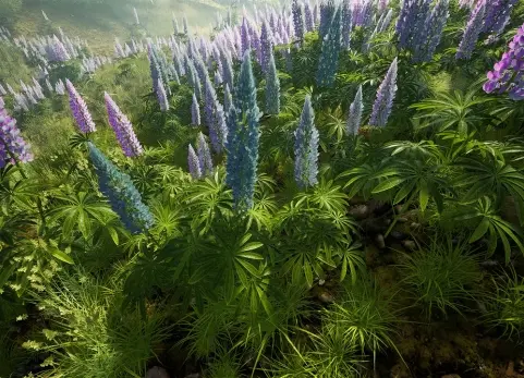 数字植物标本馆 - 纳米级植物系统 Digital Herbarium - Nanite Foliage System