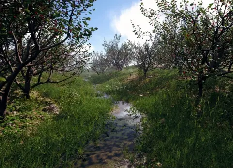 写实自然植物树木花草素材模型 Nanite Foliage V2