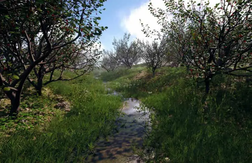 写实自然植物树木花草素材模型 Nanite Foliage V2