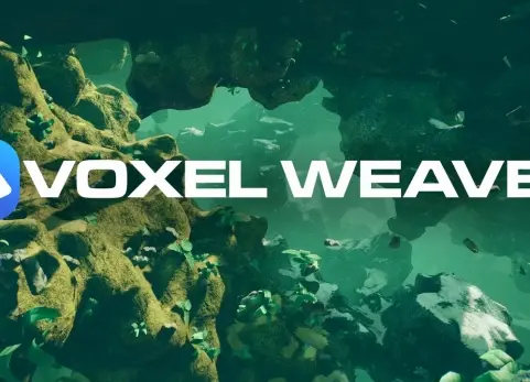 体素编织者高级体素插件 Voxel Weaver Advanced Voxel Plugin