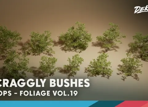 杂乱的灌木丛 - Foliage VOL.19 - Scraggly Bushes