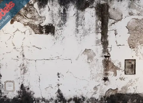 墙的贴花 Wall decals Vol. 4