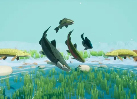 鱼群AI系统蓝图动画  Beefy Bass (Niagara Fish System)