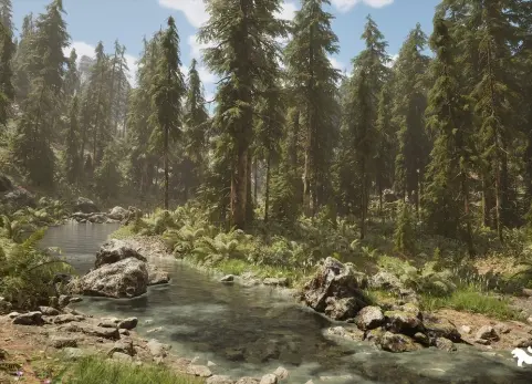 铁杉森林丛林 Hemlock Forest Jungle