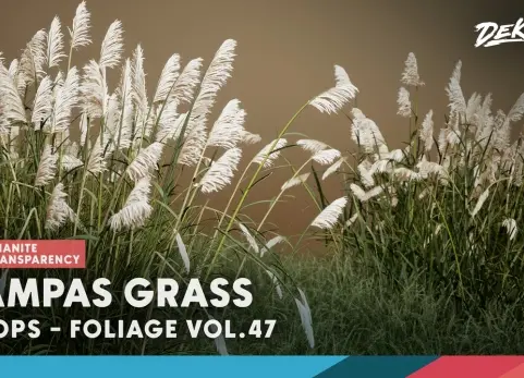 植物 VOL.47 - 蒲苇 Foliage VOL.47 - Pampas Grass