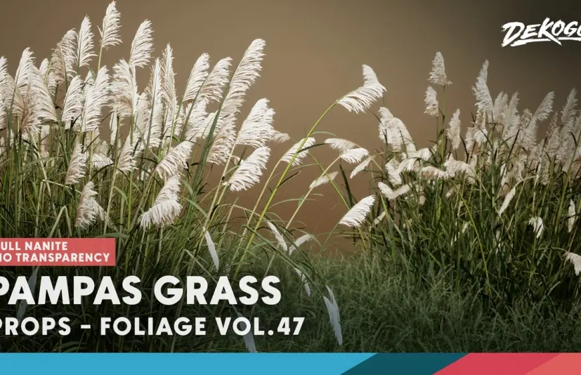 植物 VOL.47 - 蒲苇 Foliage VOL.47 - Pampas Grass