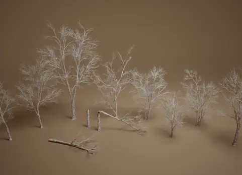 foliage第26卷 - 枯桦树 Foliage VOL.26 - Dead Birch Trees (Nanite + Low Poly)