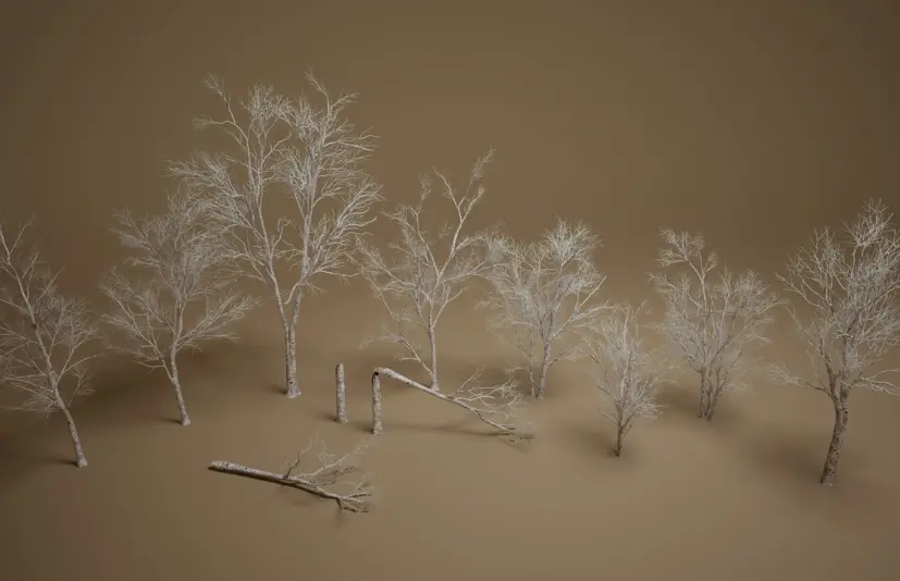 foliage第26卷 - 枯桦树 Foliage VOL.26 - Dead Birch Trees (Nanite + Low Poly)