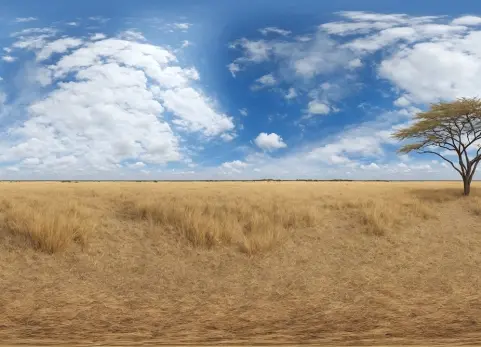 HDRI稀树草原全景图 HDRI Savanna Panoramas