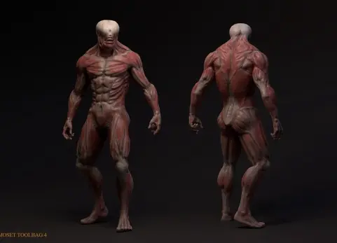 无皮肤突变体 Skinless mutant