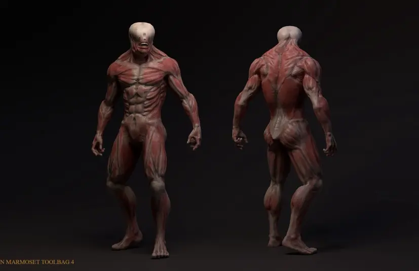 无皮肤突变体 Skinless mutant