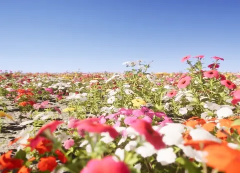 花卉/植物包 Nanite Flower Pack