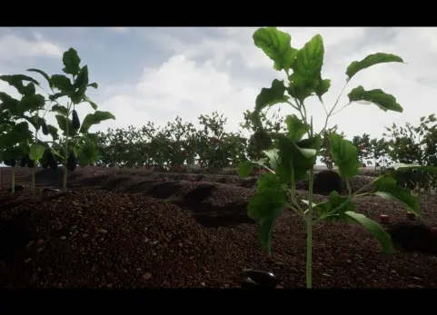 带有果实和蔬菜的全交互式物理植物 - 动态系统 R13 Full Interactive Physic Plants with Fruits and Veg - Dynamic System R13