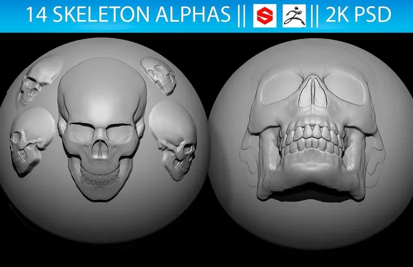 14个骷髅头阿尔法卷2（ZBrush，Substance，2K） 14 Skeleton Alphas Vol.2 (ZBrush, Substance, 2K)