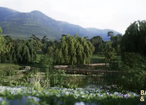 柳湖生物群系环境 Willow Lake Biome Environment