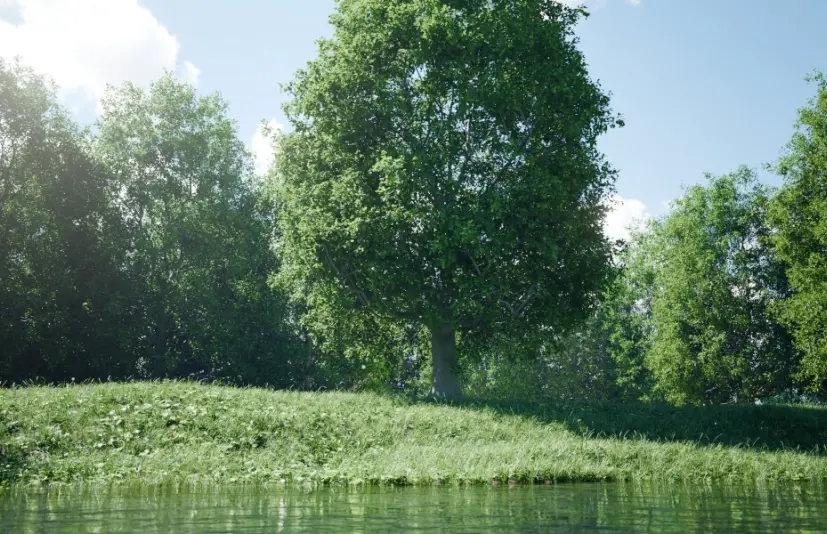 blender树木资产生成器 Trees