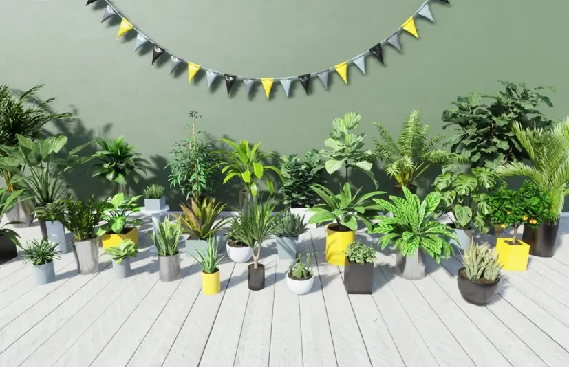 热带室内植物 Tropical House Plants