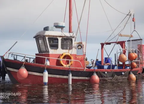 终极钓鱼大礼包 Ultimate Fishing Megapack