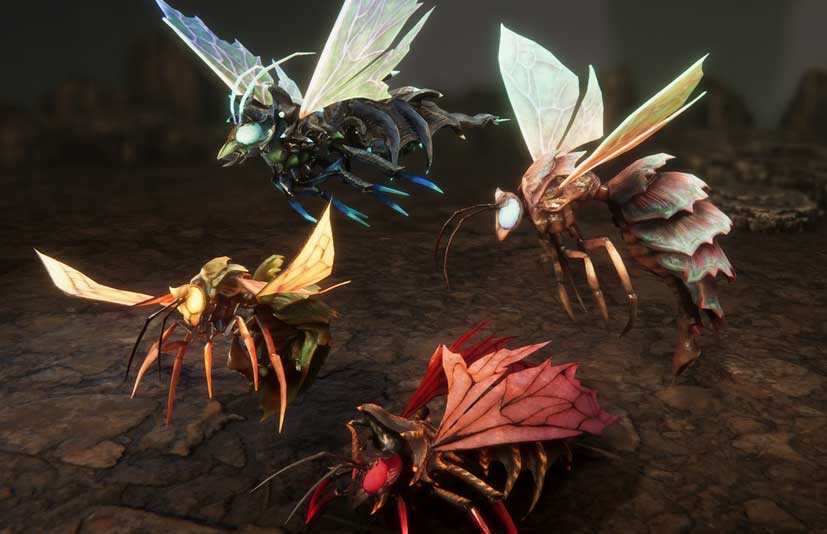 黄蜂队 Wasps pack