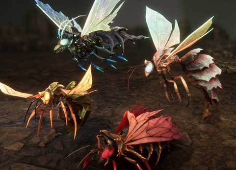 黄蜂队 Wasps pack