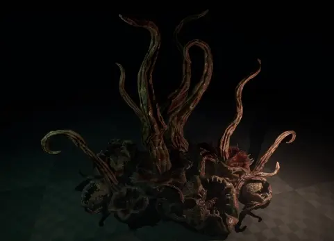 肉质鞭毛与血肉之花 Flesh Flagella and Meat Flowers